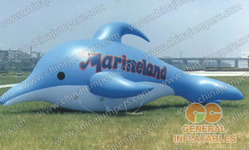 Inflatable dolphin advertising products on sale