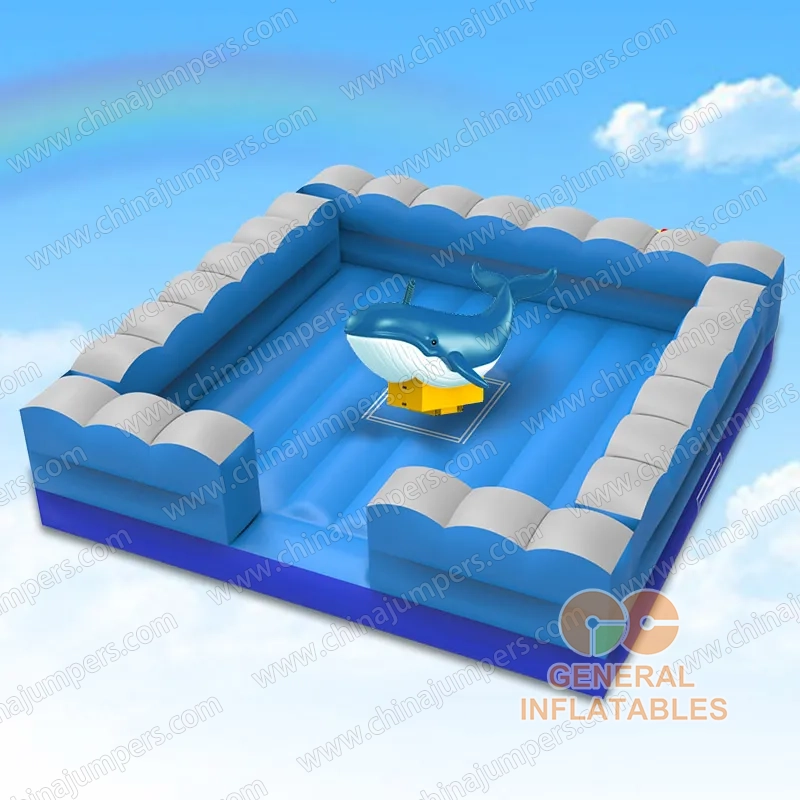 Mechanical dolphin