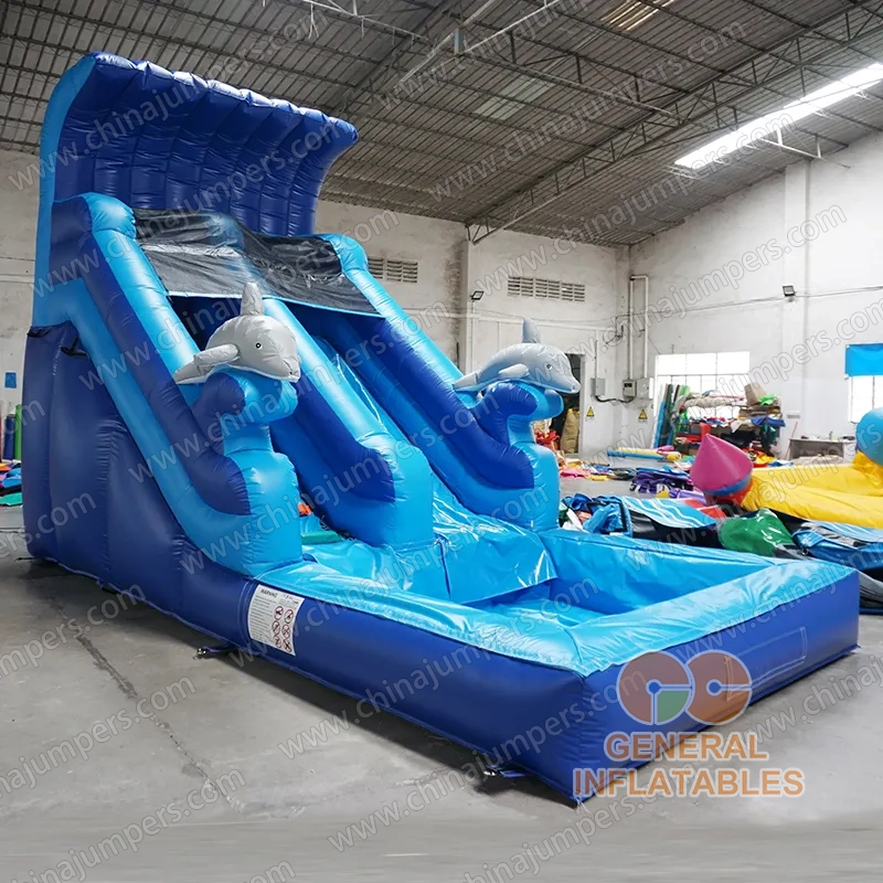 Dolphin water slide