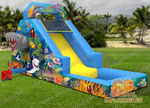  Ocean Slide