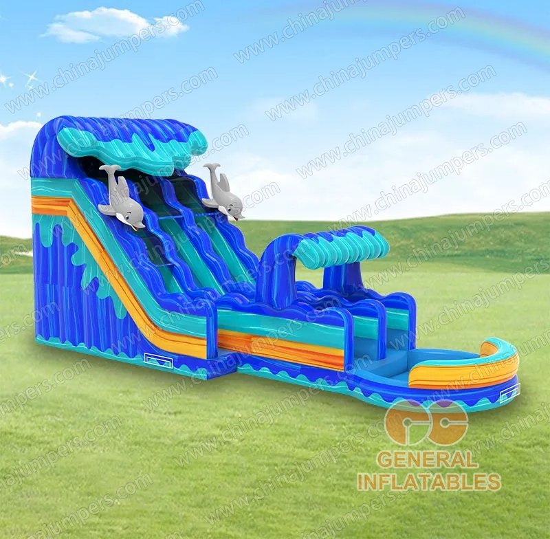 Dolphin Water Slide