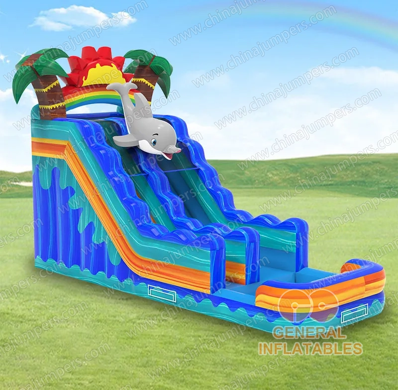 Dolphin Water Slide